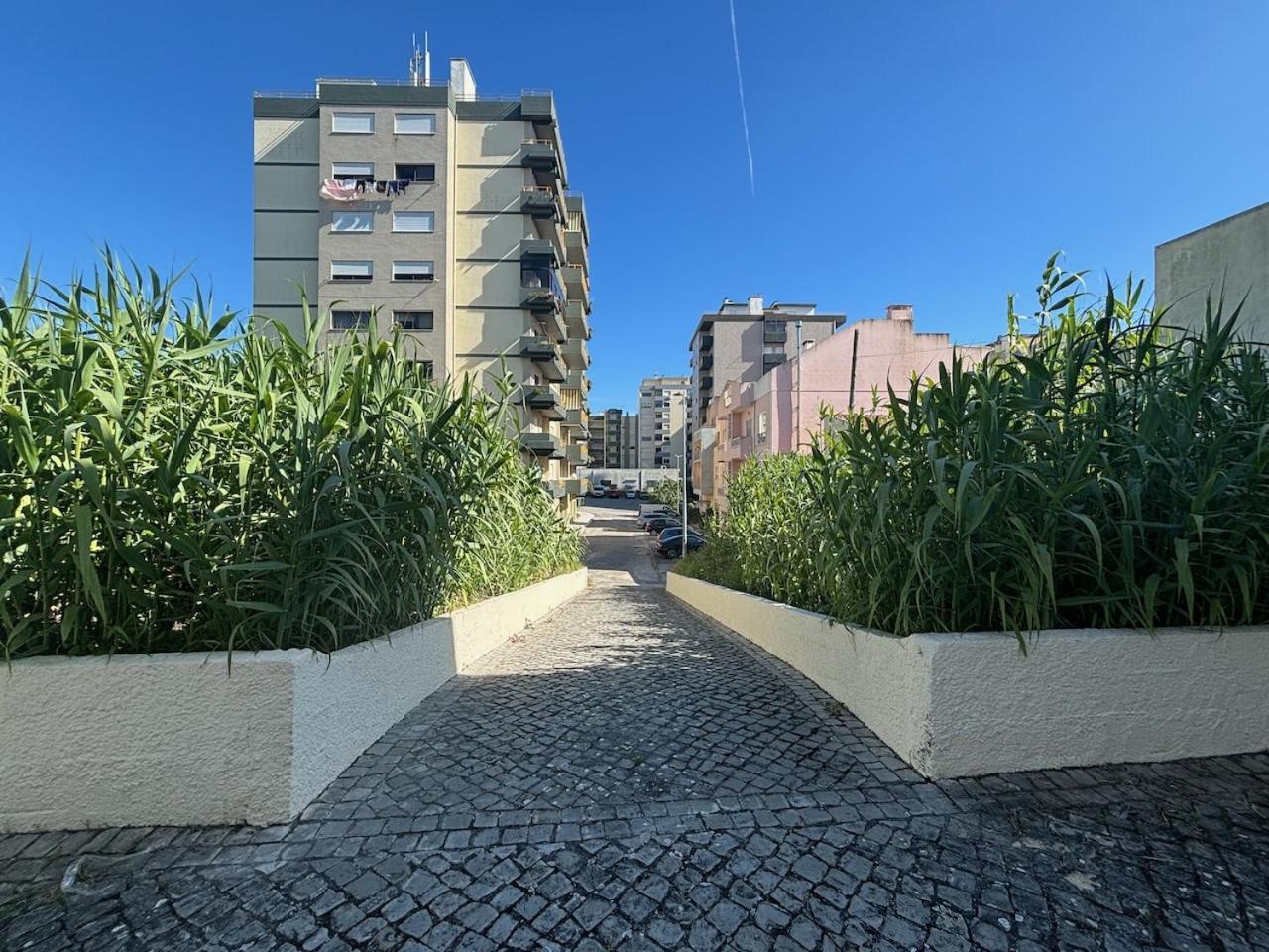 Rosario - Two Bedroom Apart- Buarcos - Фігейра-да-Фош Екстер'єр фото
